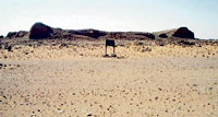 حصن زبالا الأثرى
