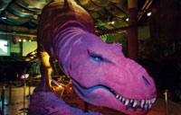 الرياض في معرض الديناصورات عالم الديناصورات